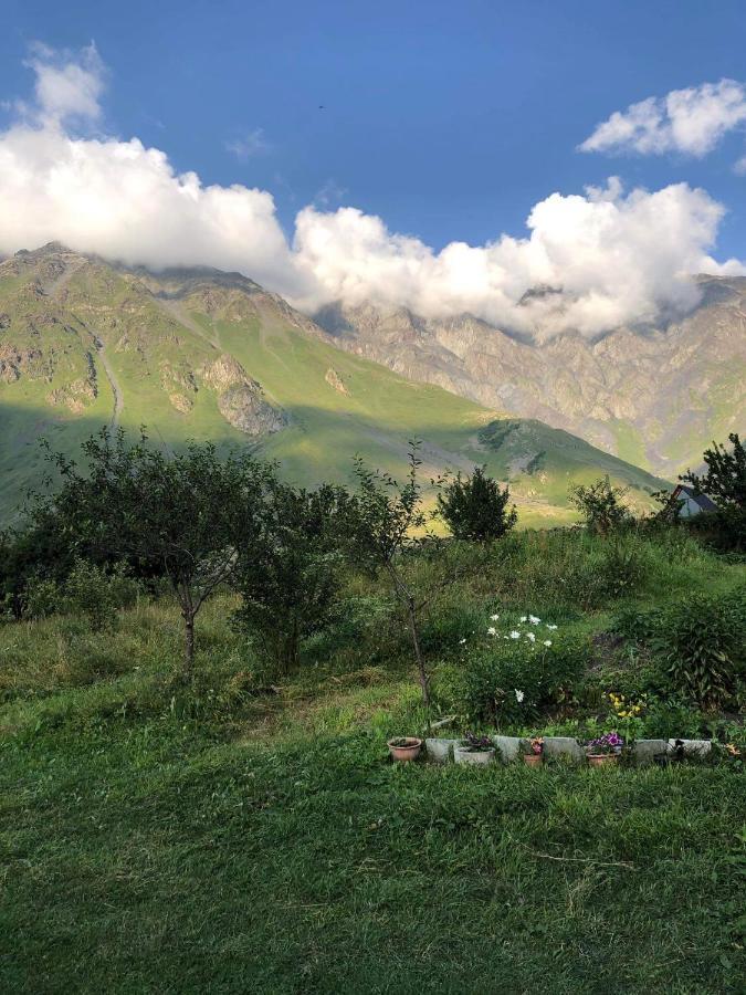 Mikheil Pitskhelauri Guest House كازباجي المظهر الخارجي الصورة